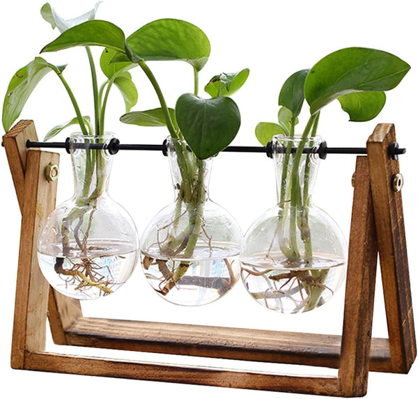 XXXFLOWER Plant Terrarium with Wooden Stand – 3 Bulb Glass Vases
